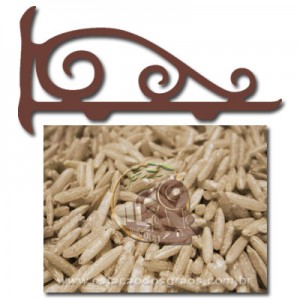 Arroz Integral Indiano Basmati (Granel - Preço/100g)
