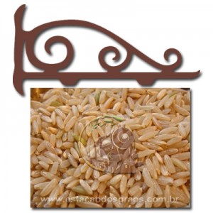 Arroz Integral Tailandês Jasmim (Granel - Preço/100g)
