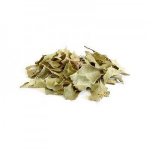 Espinheira Santa Folhas (Granel - Preço/40g)