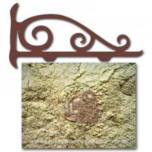 Farelo de Arroz Tostado (Fracionado - Embalagem 200g)