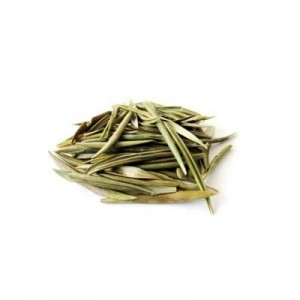 Oliveira Folhas (Granel - Preço/50g)