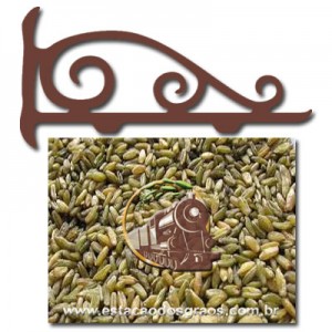Freekeh - Trigo Verde (Granel - Preço/100g)