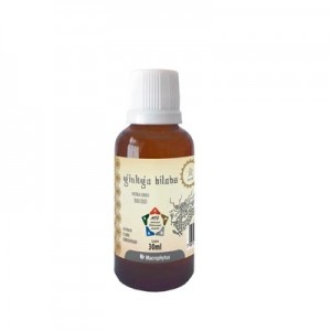 Ginkgo Biloba Extrato Fluído Concentrado 30ml - MTC (Macrophytus)