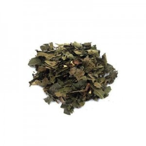 Guaçatonga (Granel - Preço/40g)