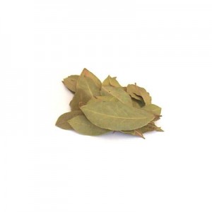 Louro Folhas (Fracionado - Embalagem 10g)