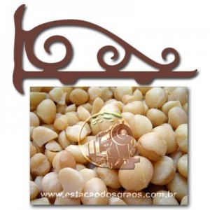 Nozes Macadâmia Crua (Granel - Preço/100g)