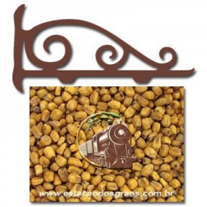 Milho Crocante Torrado sabor Pimenta (Granel - Preço/100g)