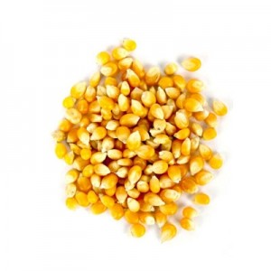 Milho de Pipoca (Granel - Preço/100g)