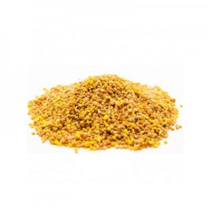 Pólen de Flores (Granel - Preço/100g)
