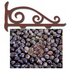 Soja Preta Grão (Granel - Preço/100g) 