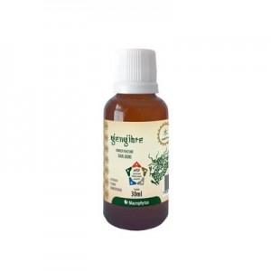 Gengibre Extrato Fluído Concentrado 30ml - MTC (Macrophytus)