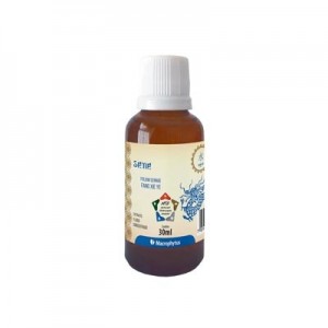 Sene Extrato Fluído Concentrado 30ml - MTC (Macrophytus)